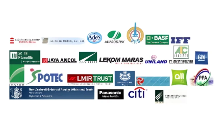 consulting experience,audit portfolio,asset valuation projects