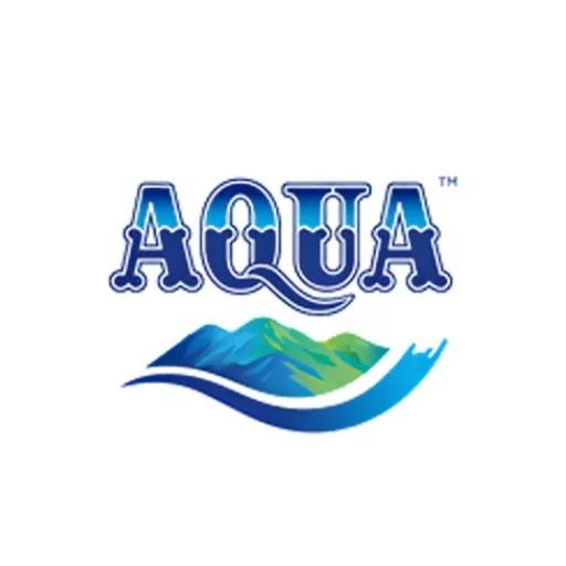 consulting experience,audit portfolio,asset valuation projects